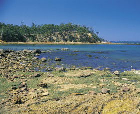 Aslings Beach - Accommodation Nelson Bay 0