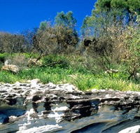 Abrahams Bosom Reserve - Accommodation Nelson Bay