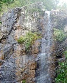 Wedding Bells Forest Drive - Accommodation Nelson Bay 0