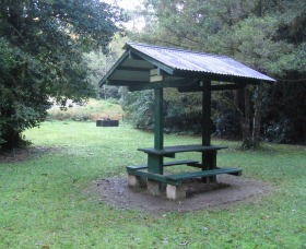 Pine Creek State Forest - Accommodation Nelson Bay 0