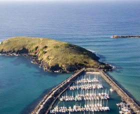 Muttonbird Island Nature Reserve - Accommodation Nelson Bay 0