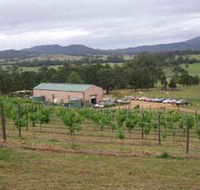 Villa d Esta Vineyard - Accommodation Nelson Bay
