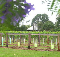 Douglas Vale Historic Homestead  Vineyard - Accommodation Nelson Bay