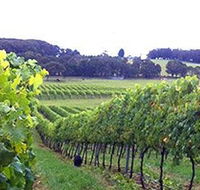 Banjo's Run Winery and Vineyard - Accommodation Nelson Bay