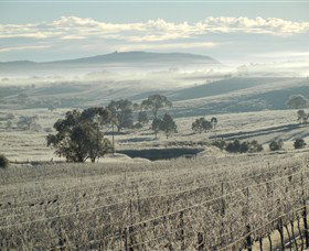 Kurrajong Downs Wines Vineyard - Accommodation Nelson Bay 1