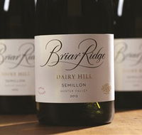 Briar Ridge Vineyard - Accommodation Nelson Bay