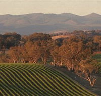 Angullong Wines - Accommodation Nelson Bay