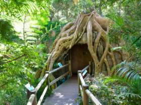 Cedar Creek Estate Vineyard And Winery - Accommodation Nelson Bay 1