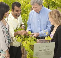 Jacob's Creek Vineyard Tour - Accommodation Nelson Bay