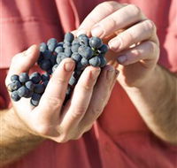 Brown Magpie Wines - Accommodation Nelson Bay