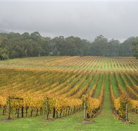 Boat O'Craigo Wines - Accommodation Nelson Bay
