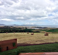 The Hazards Vineyard - Devil's Corner - Accommodation Nelson Bay