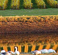 Pipers Brook Vineyard - Accommodation Nelson Bay