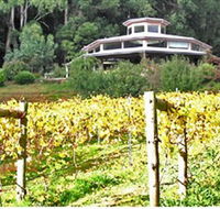 Peveril Vineyard/Beechy Berries - Accommodation Nelson Bay