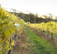 Harcourt Valley Vineyards - Accommodation Nelson Bay