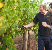 Fratin Brothers Vineyard - Accommodation Nelson Bay