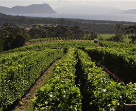 Bream Creek TAS Accommodation Nelson Bay