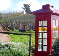 Dalrymple Vineyards - Accommodation Nelson Bay