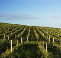 Delamere Vineyard - Accommodation Nelson Bay