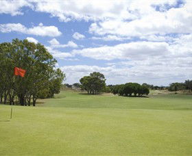 Curlewis Golf Club - Accommodation Nelson Bay 1
