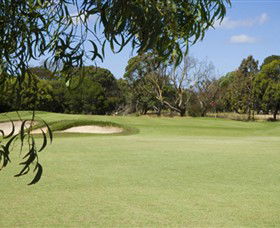 Curlewis Golf Club - Accommodation Nelson Bay 0