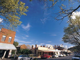 Drysdale Cheeses - Accommodation Nelson Bay 1