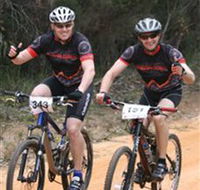 Trailhead Bike Co. - Accommodation Nelson Bay