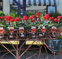 Van Loon's Nursery - Accommodation Nelson Bay