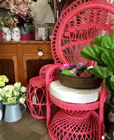 Van Loon's Nursery - Accommodation Nelson Bay 3