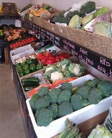 Farmers Harvest - Accommodation Nelson Bay 1