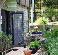The Lighthouse Olive Mill Shop - Accommodation Nelson Bay
