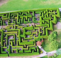 Hedgend Maze and Healesville Laser Sport - Accommodation Nelson Bay