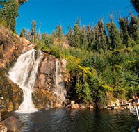 Steavenson Falls Marysville - Accommodation Nelson Bay