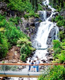 Steavenson Falls Marysville - Accommodation Nelson Bay 2