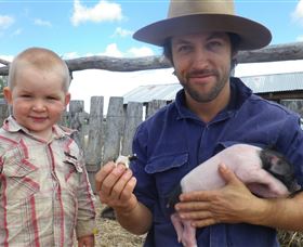 Gleneden Organic Farm And The Gleneden Bullock Team - Accommodation Nelson Bay 2