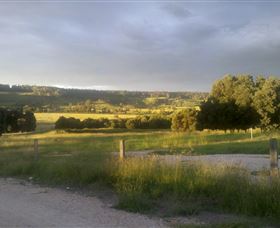 Gleneden Organic Farm And The Gleneden Bullock Team - Accommodation Nelson Bay 0