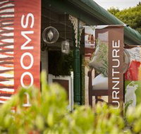 The Court Yard of Sassafras