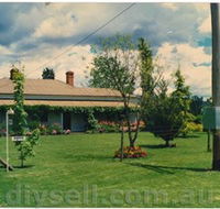 Tumut Valley Violets - Accommodation Nelson Bay