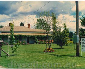 Tumut Valley Violets - Accommodation Nelson Bay 0