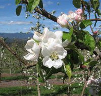 Mouat's Farm - Accommodation Nelson Bay