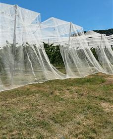 Mouat's Farm - Accommodation Nelson Bay 5