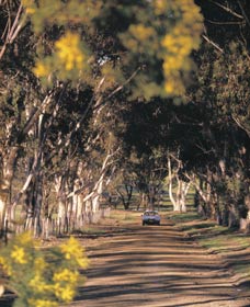 Albert Facey Heritage Trail - Accommodation Nelson Bay 0