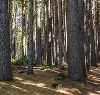 Sugarpine Walk - Accommodation Nelson Bay