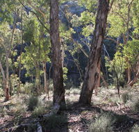 Mount Gray walking track - Accommodation Nelson Bay