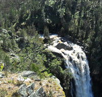 Grove Creek Falls walking track - Accommodation Nelson Bay
