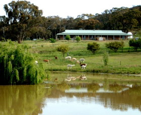 Clearview Alpacas - Accommodation Nelson Bay 0