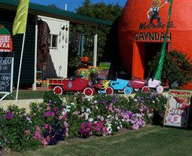 Gayndahs Big Orange - Accommodation Nelson Bay 1