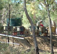 7 Oaks Sapphire Fossicking - Accommodation Nelson Bay