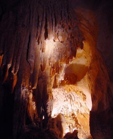 Careys Cave - Accommodation Nelson Bay 2