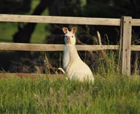 Panorama Garden Estate - Accommodation Nelson Bay 0